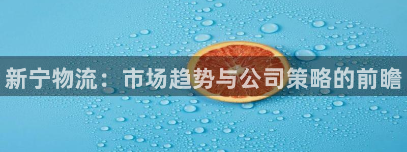 多多28充值：新宁物流：市场趋势与公