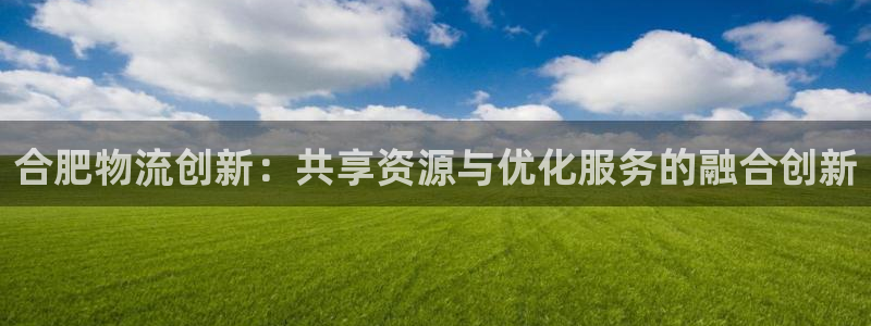 多多28官网平台下载：合肥物流创新：