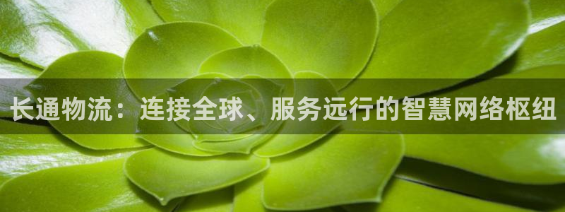 多多28加拿大预测：长通物流：连接全