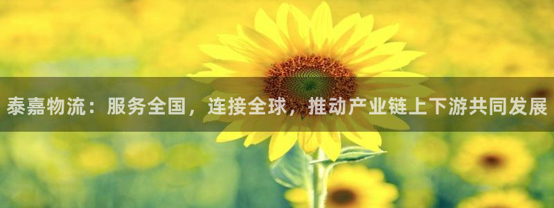 多多28官网下载链接怎么弄：泰嘉物流