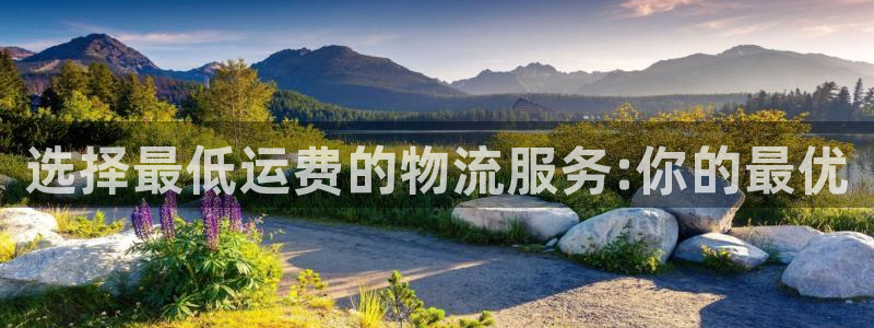 多多28官网入口pc29官网版：选择