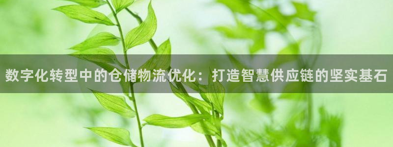 多多28官网平台：数字化转型中的仓储