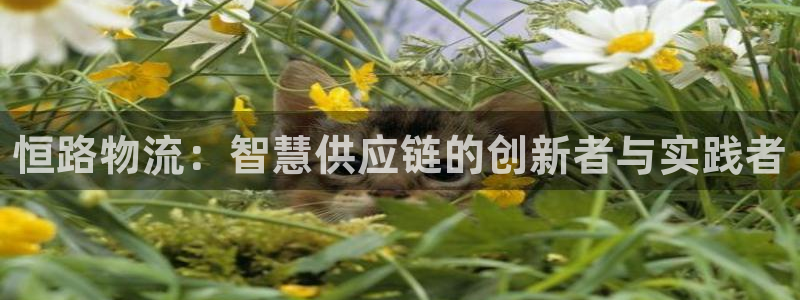 多多28链接多少：恒路物流：智慧供应