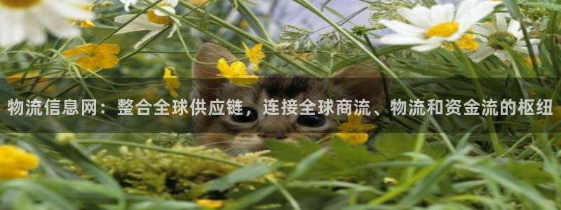 多多28充值不到账怎么回事：物流信息