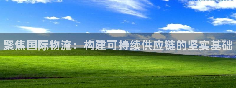 多多28圈：聚焦国际物流：构建可持续
