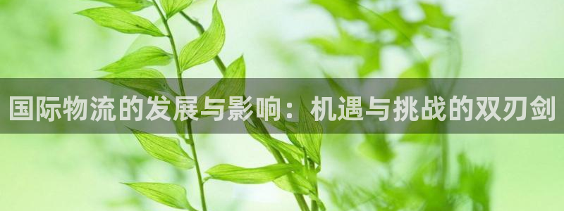多多28PG电子游戏：国际物流的发展
