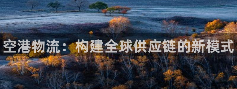多多28的平台：空港物流：构建全球供