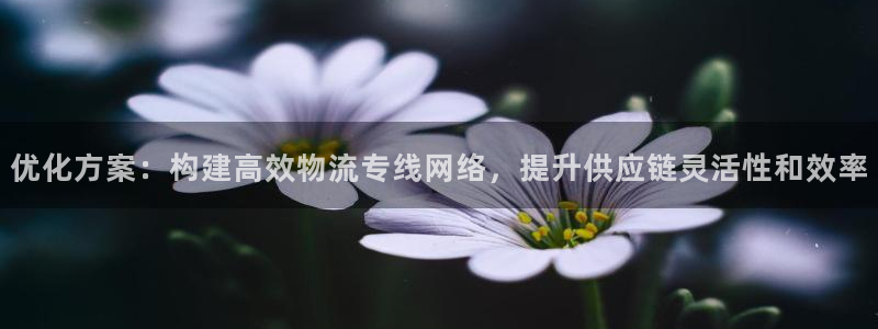 多多28开奖预测