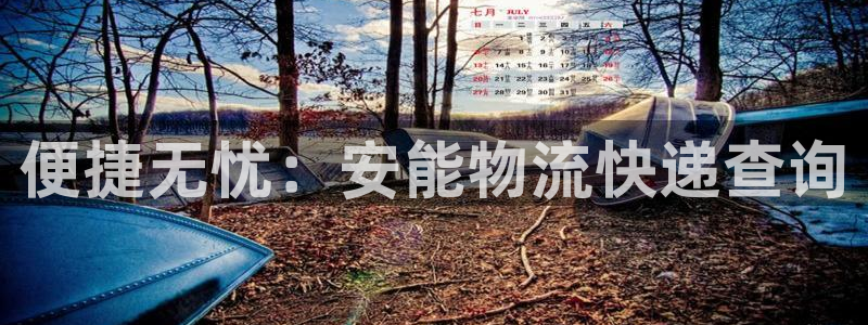 多多28下载二维码怎么弄：便捷无忧：