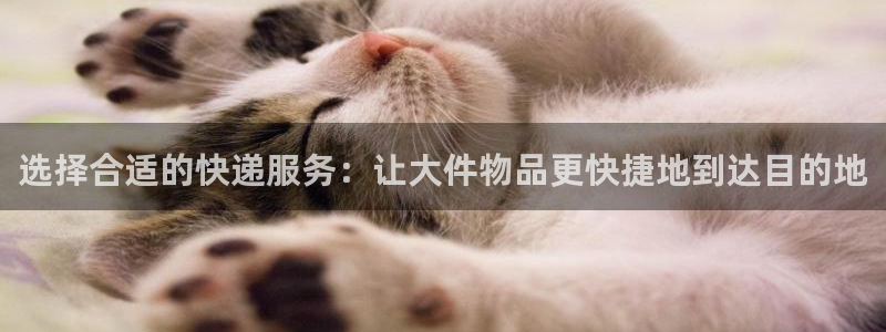 多多28官方网站
