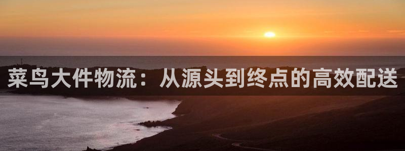 多多28官网多少：菜鸟大件物流：从源