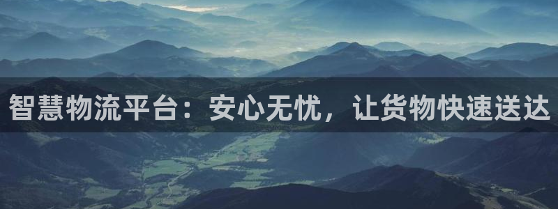 多多28预测：智慧物流平台：安心无忧