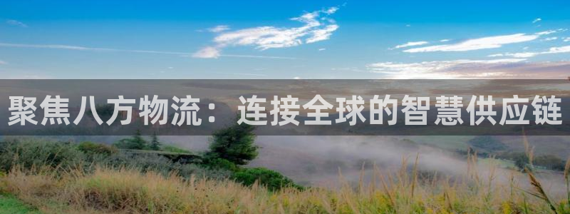 麻将1多多28：聚焦八方物流：连接全