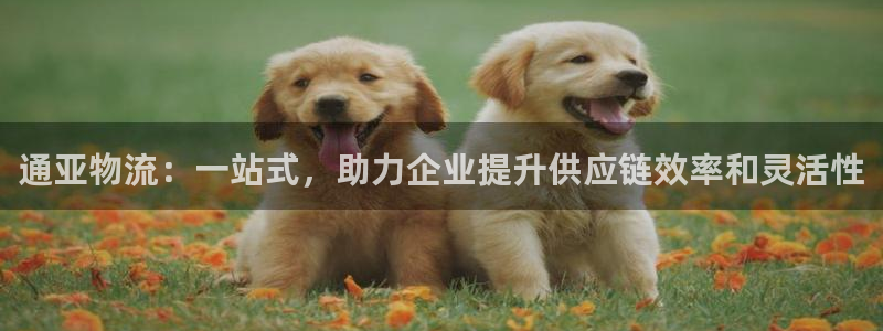 多多28官网下载谁有：通亚物流：一站式，助力企业提升供应链效