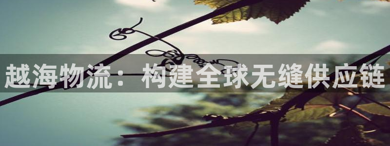 多多28充值不处理：越海物流：构建全