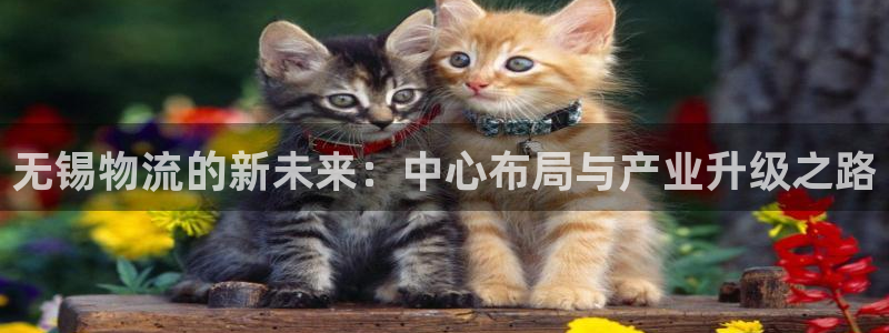 多多28预测网：无锡物流的新未来：中