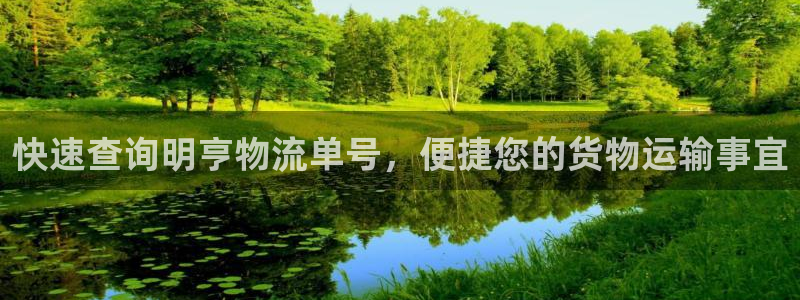 多多28官网下载APP：快速查询明亨