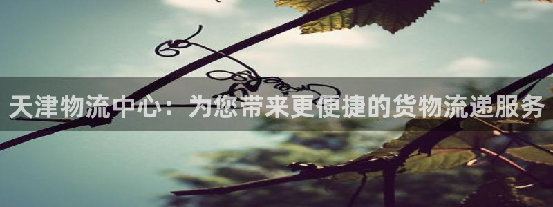 多多28注册入口与教程：天津物流中心