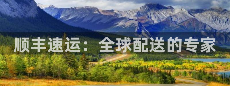 多多28怎么下载：顺丰速运：全球配送