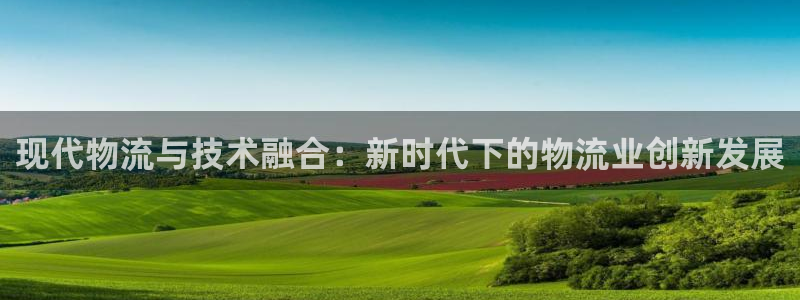 多多28黑吗：现代物流与技术融合：新