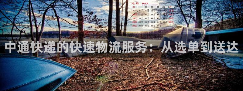 多多28模拟：中通快递的快速物流服务