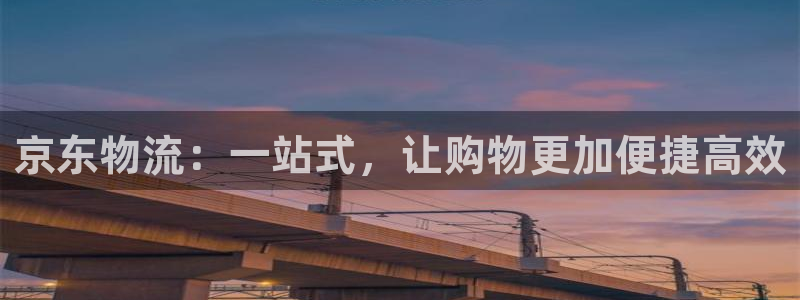 多多28犯法吗：京东物流：一站式，让