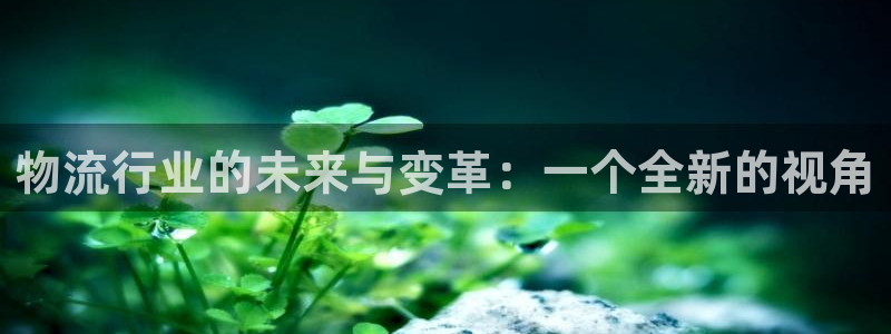 多多28怎么下载不了