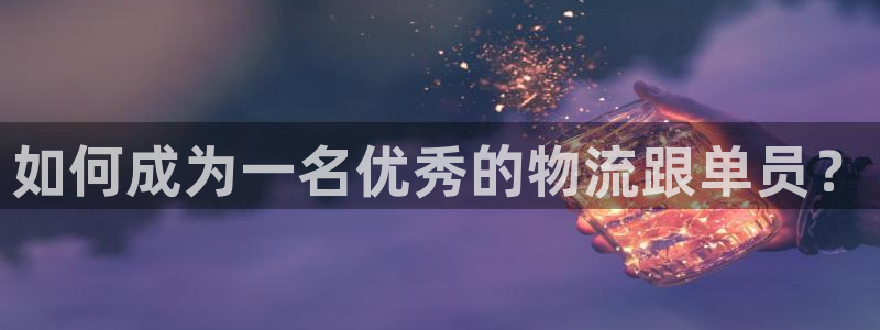 多多28吧:如何成为一名优秀的物流跟