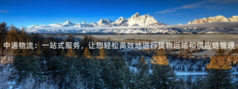 多多28软件有什么用:中通物流:一站