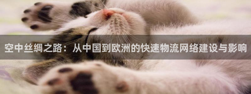 多多28平台注册：空中丝绸之路：从中