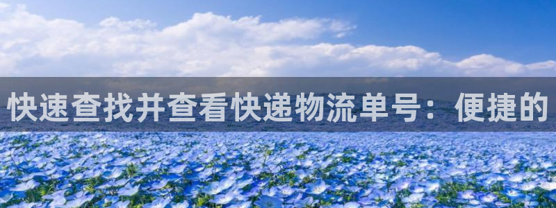 多多28软件：快速查找并查看快递物流