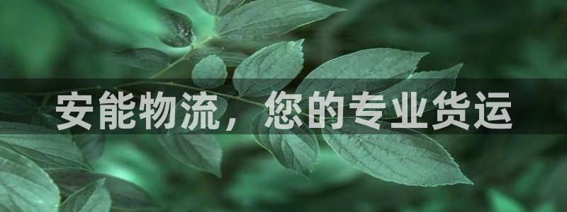 多多28官网下载APP：安能物流，您