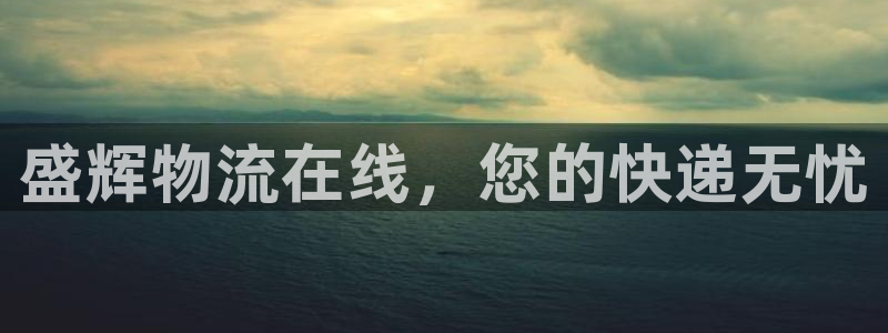 多多28官网平台下载：盛辉物流在线，