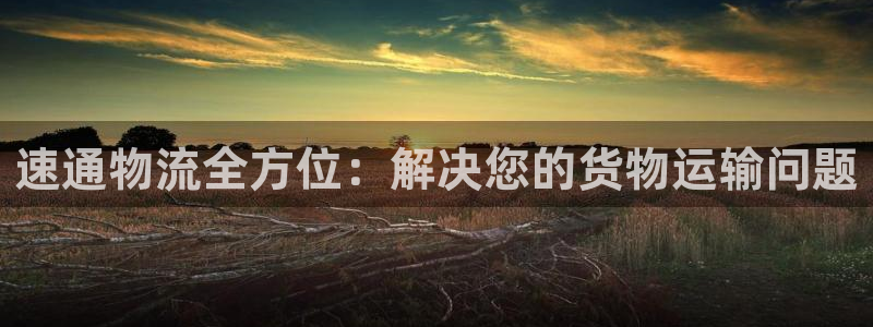 多多28注册与教程：速通物流全方位：