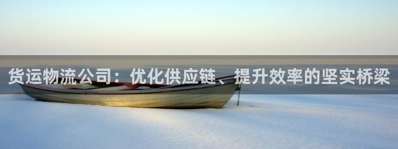 多多28预测：货运物流公司：优化供应