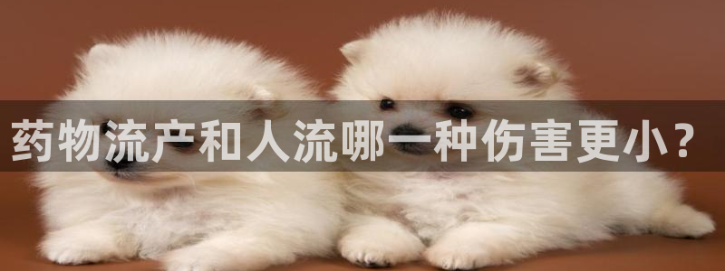 多多28是什么软件