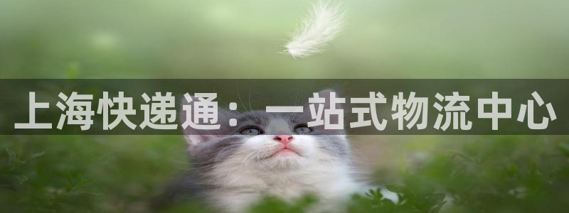 多多28在线预测