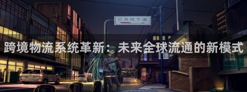 多多28登录不上咋回事：跨境物流系统革新：未来全球流通的新模