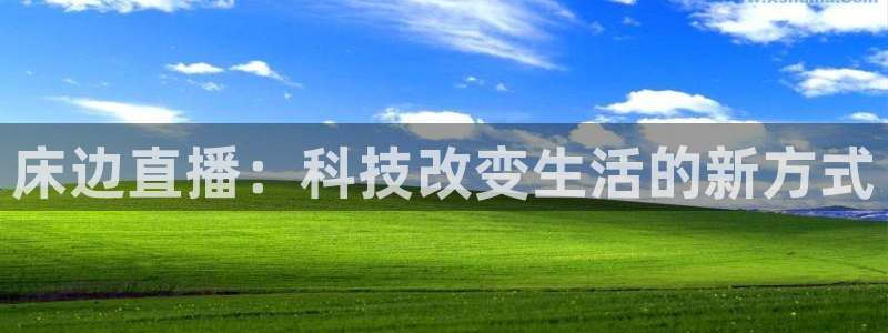 乐球直播安卓版下载