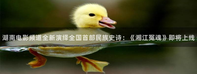 乐球在线直播免费观看直播：湖南电影频道全新演绎全国首部民族史诗：《湘江冤魂》即将上线